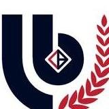 linkbufferstudios